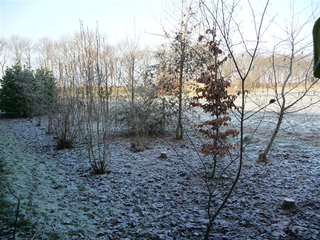 fotos van tuinen
